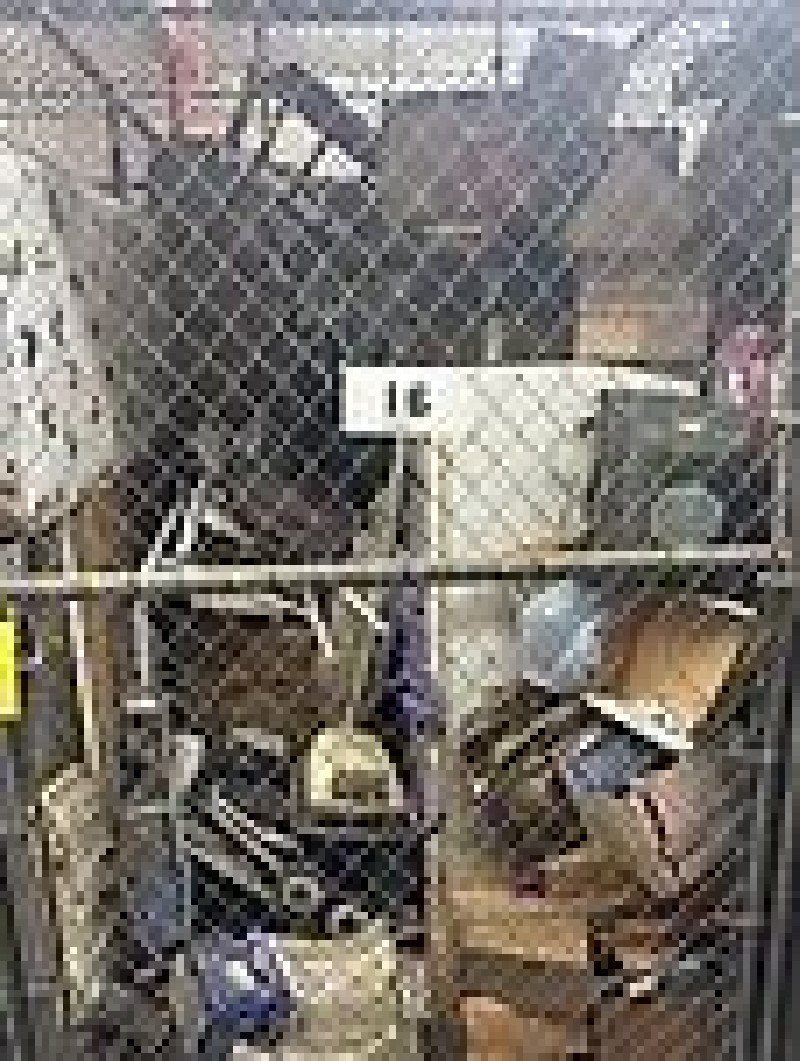 JM Auction Online bid