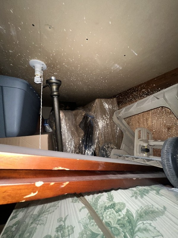 JM Auction Online bid