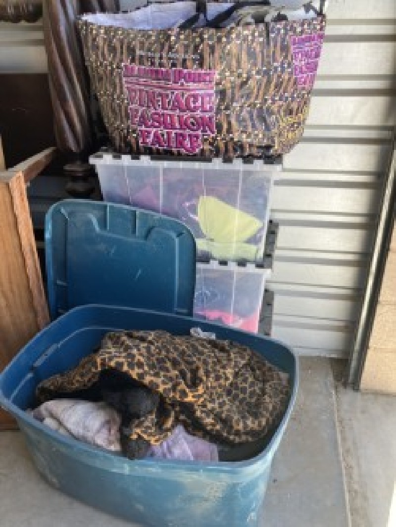 JM Auction Online bid