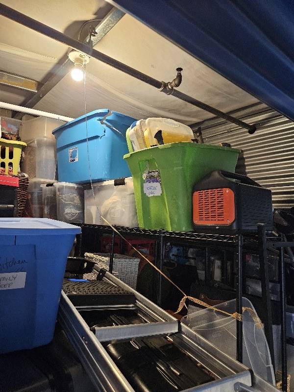 JM Auction Online bid