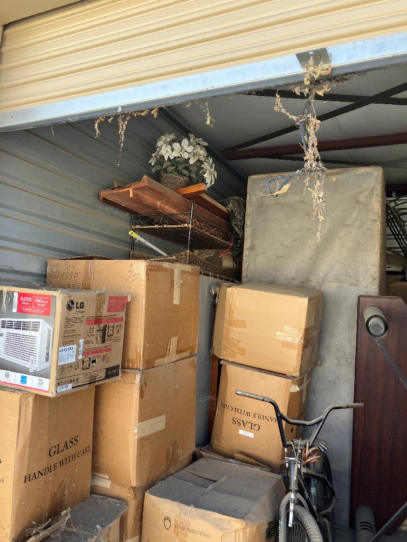 JM Auction Online bid