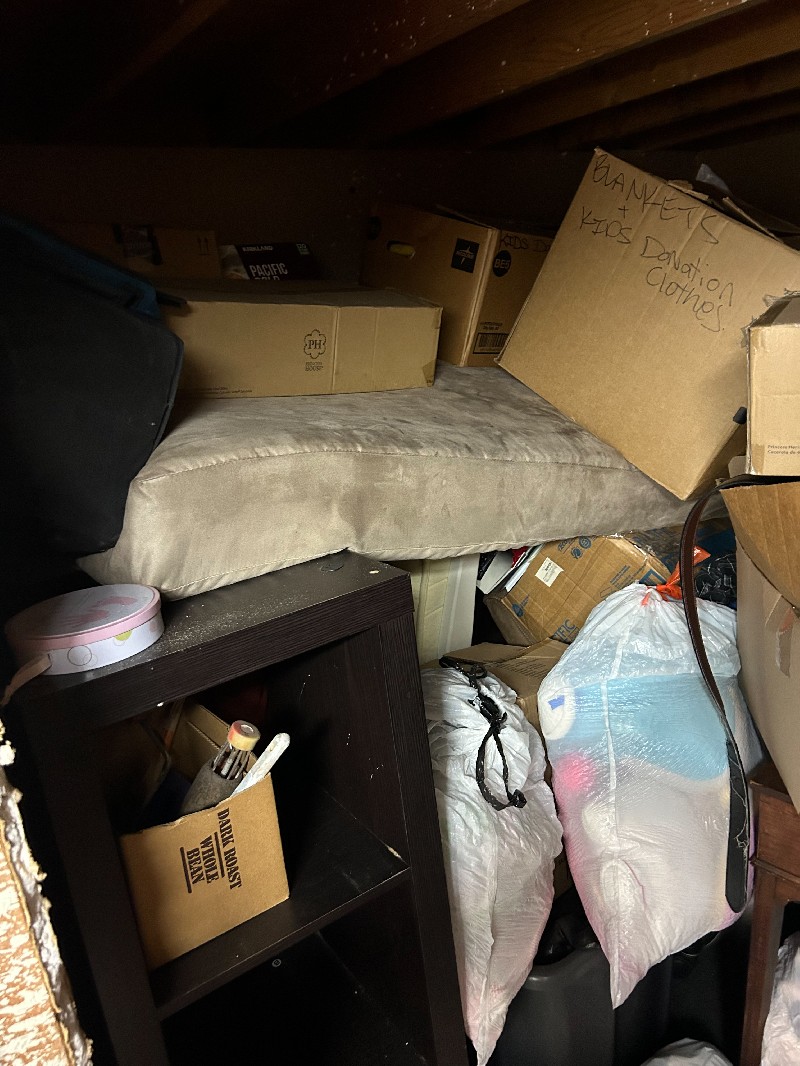 JM Auction Online bid
