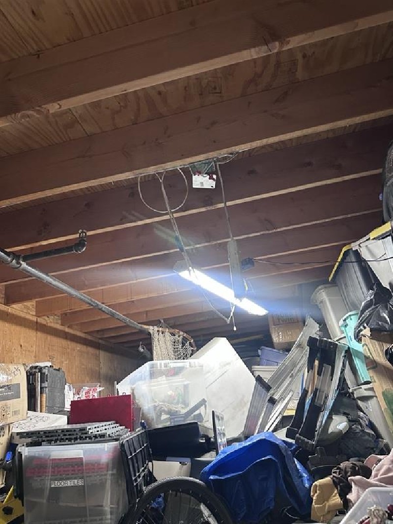 JM Auction Online bid