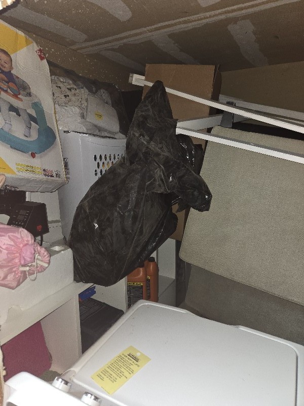 JM Auction Online bid