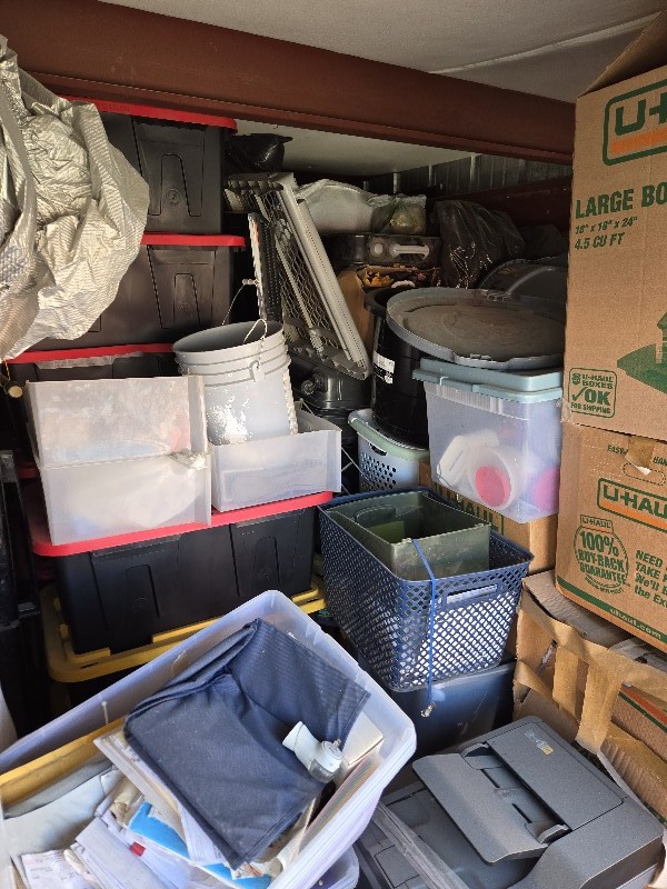 JM Auction Online bid